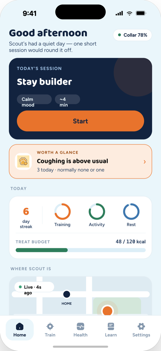 Magick Guardian home screen — today's session, a health glance, activity rings, treat budget and a live map