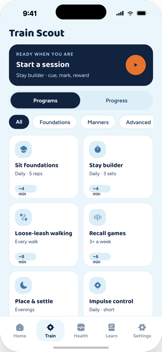 Magick Guardian training programs grid grouped into foundations, manners and advanced